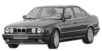BMW E34 P199E Fault Code